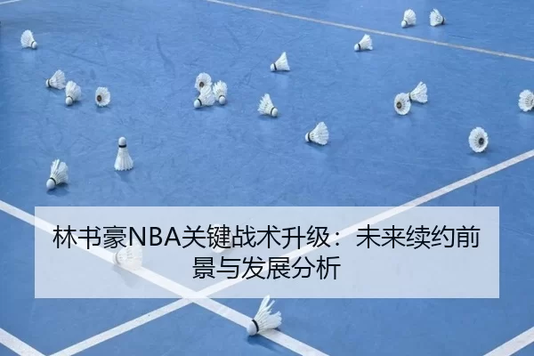 林书豪NBA关键战术升级：未来续约前景与发展分析